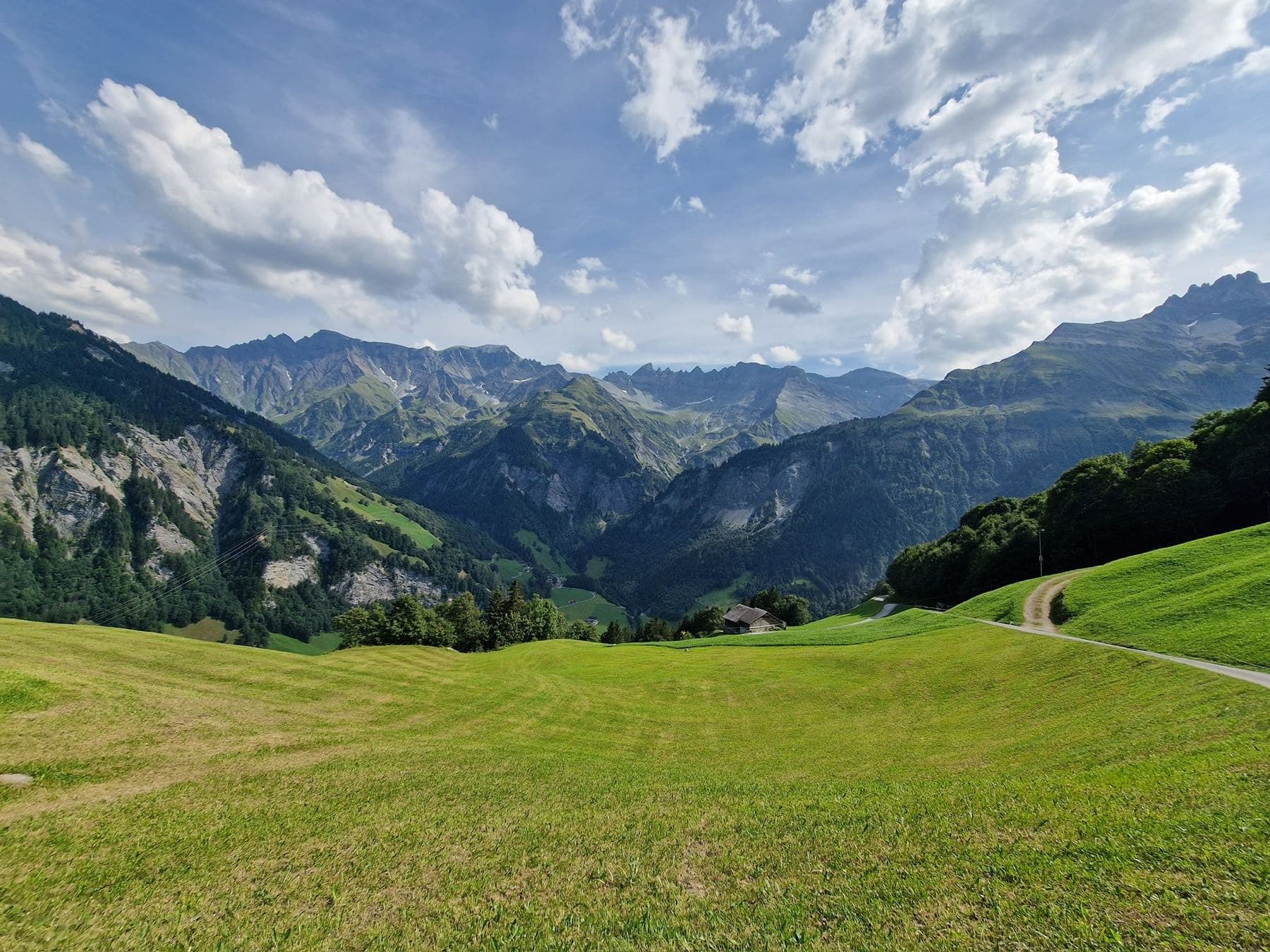 A Swiss alpine valley — meadow, forest and ridgeline — printed in the brown of the clay